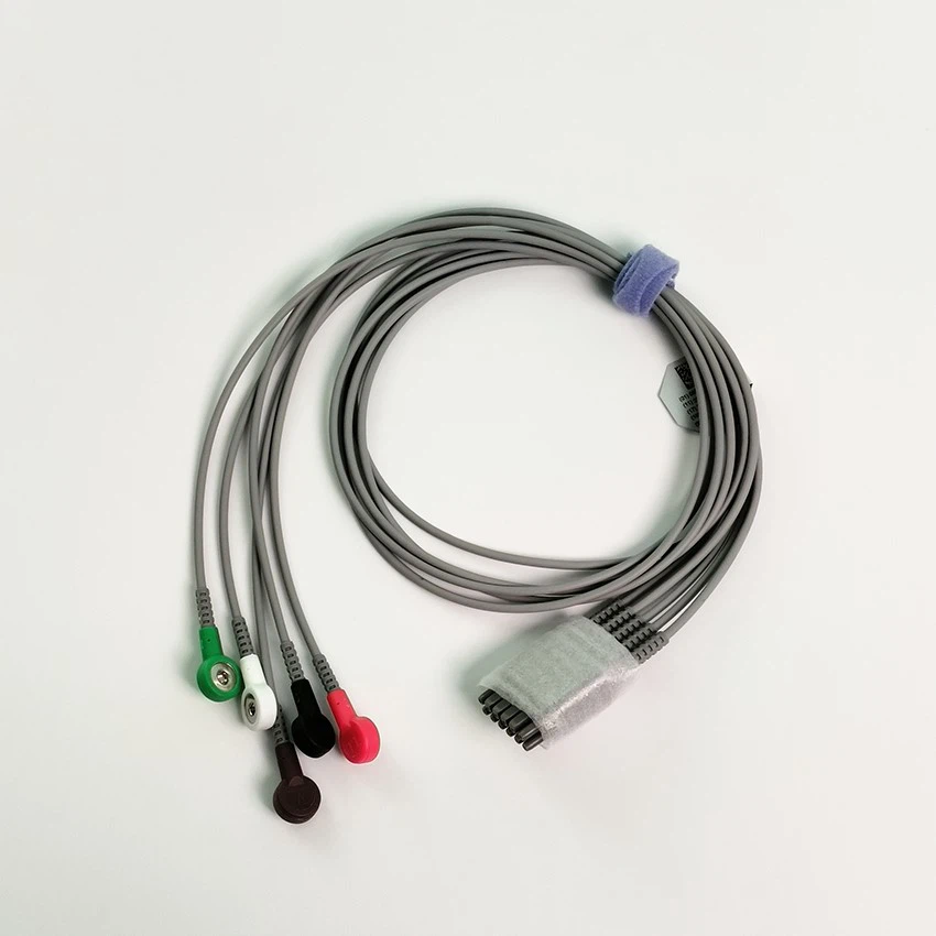 IMG20231102105443 IMG20231102105443