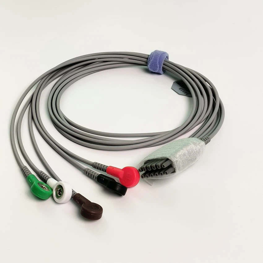 IMG20231102105535 IMG20231102105535