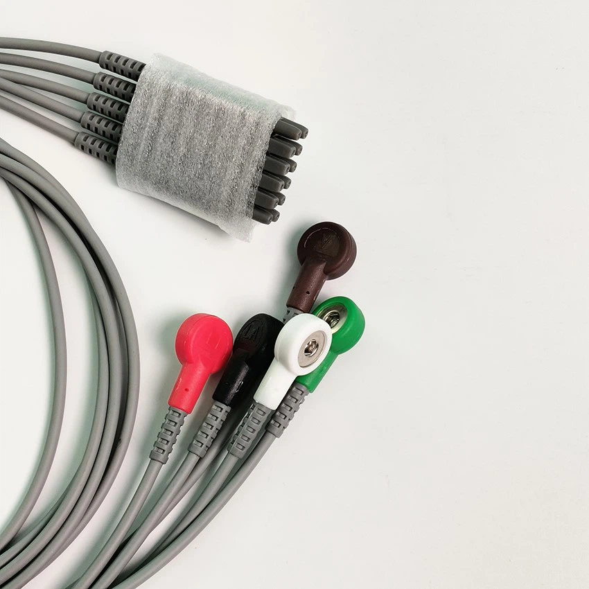 IMG20231102105622 IMG20231102105622